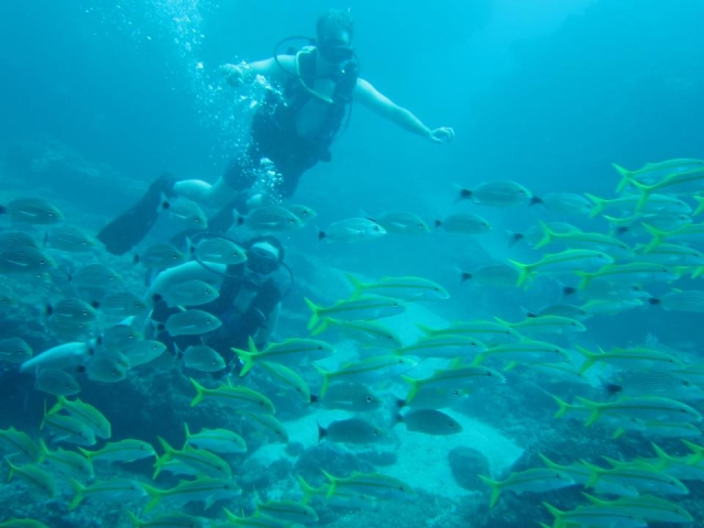 Immersioni a Yelapa 
