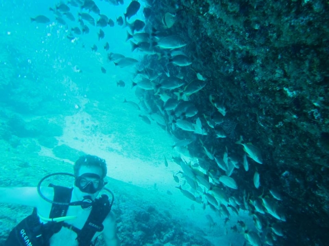  Immersioni e pesci a Yelapa 