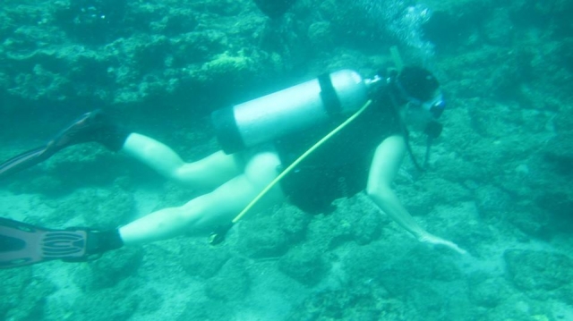  2 Tauchgänge im offenen Meer in Nayarit 