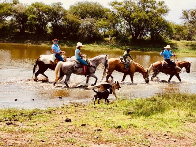  Enjoying the horses 