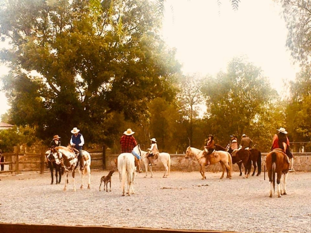  Enjoying a horseback ride 
