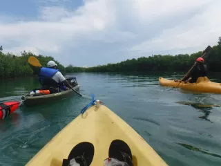 Laguna Nichupté 3 小时皮划艇之旅