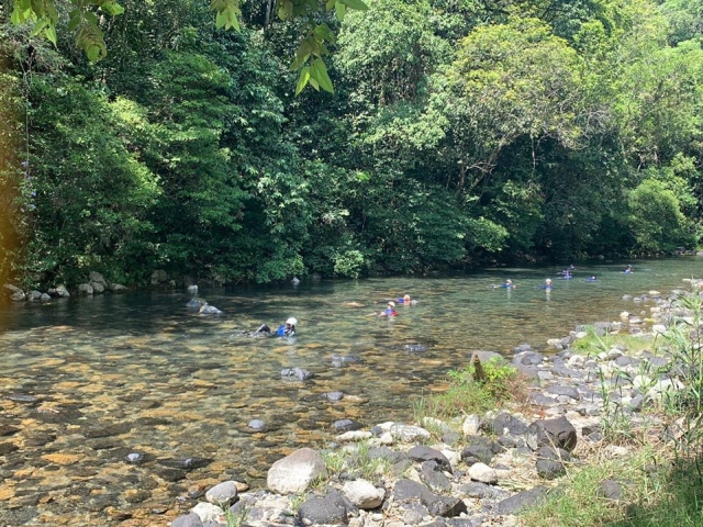  Swimming in the river 