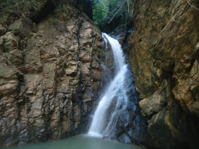  Visita la natura del luogo 