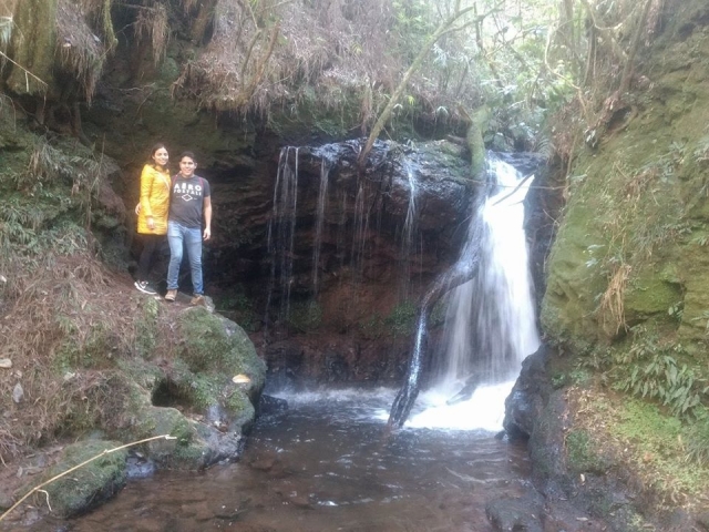  Visita la natura del luogo 