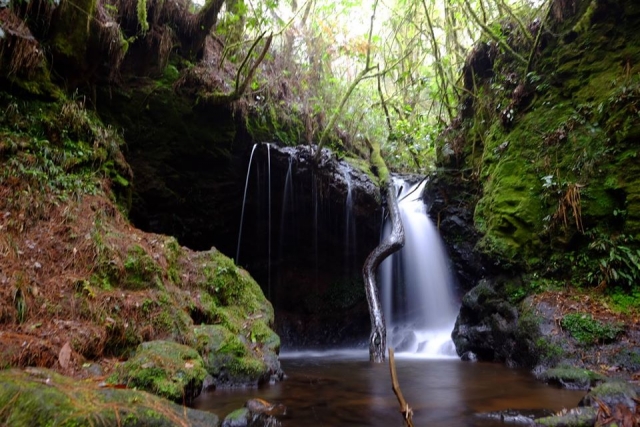 Cascate di Huauchinango 