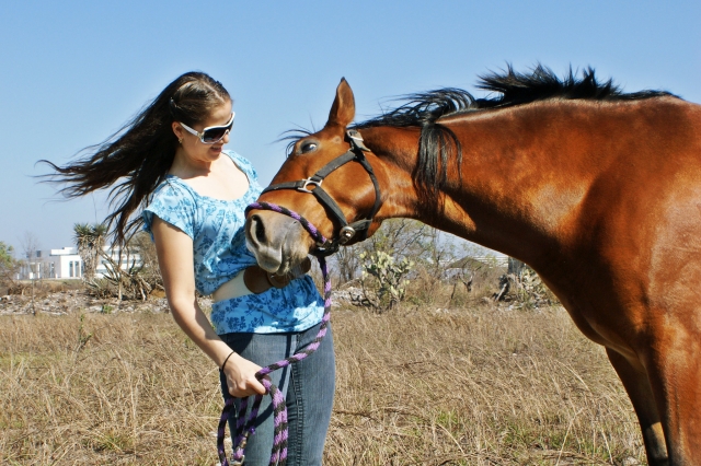 Vivere con un bellissimo cavallo 