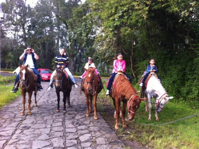 Cavalcata in famiglia 