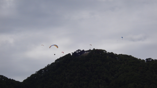  Parapendio sopra montagne e foreste 
