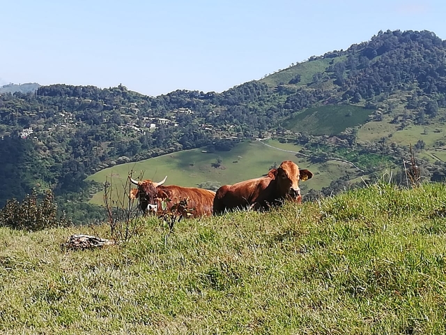  Presa de Tecnango 