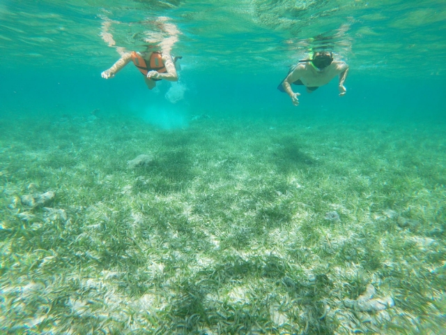  natação com equipamento de snorkeling 