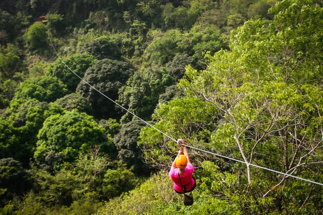 Cruzando los árboles de mango