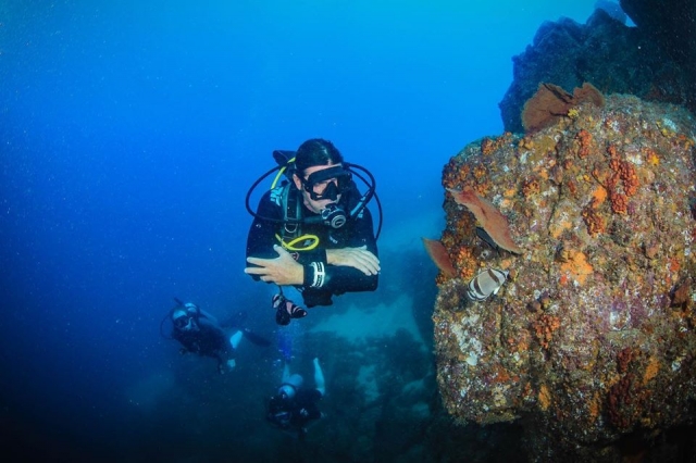  Diving in La Paz 