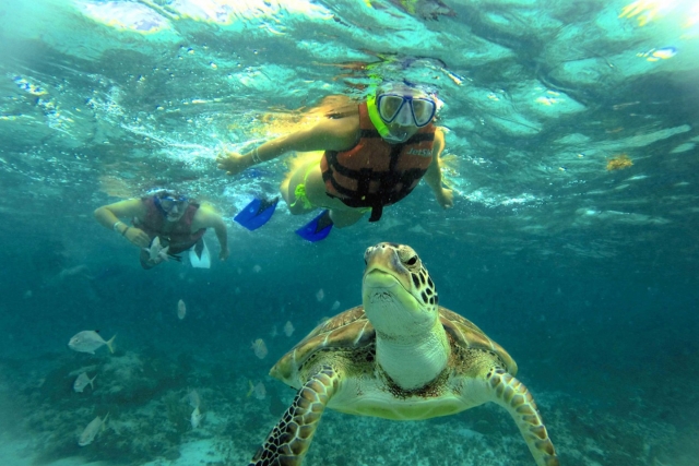  Snorkeling in famiglia 