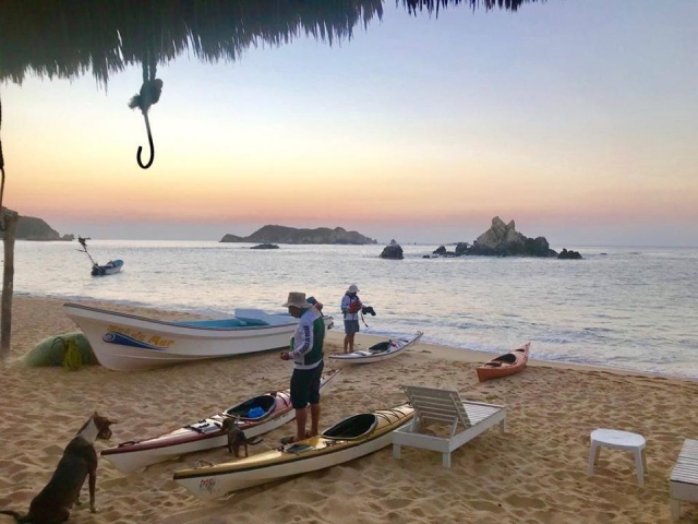  Kayak tours 
