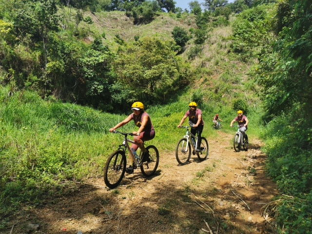  Mountainbike 