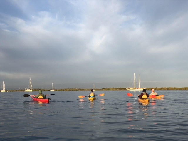  Tour em Kayak Bay La Paz 