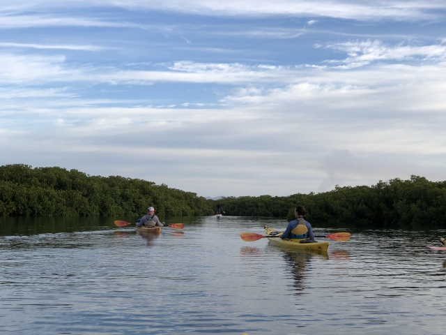  Tour 3 Hours Kayak 