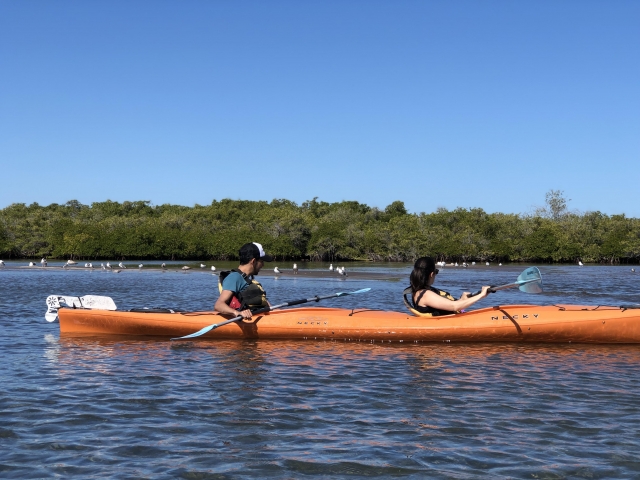  Kayak La Paz Bay 3 horas 