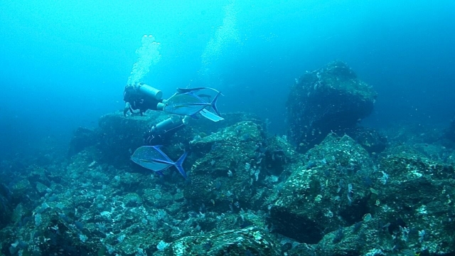  Diving in El Morro 