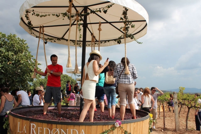  Produzione di vino 