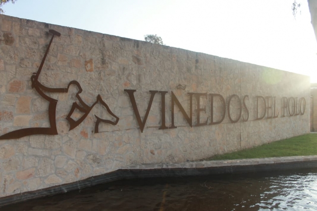  Découverte des vignobles
