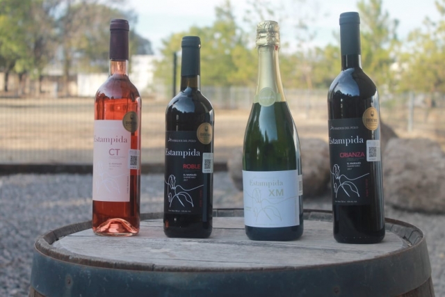  Vignobles de Querétaro 