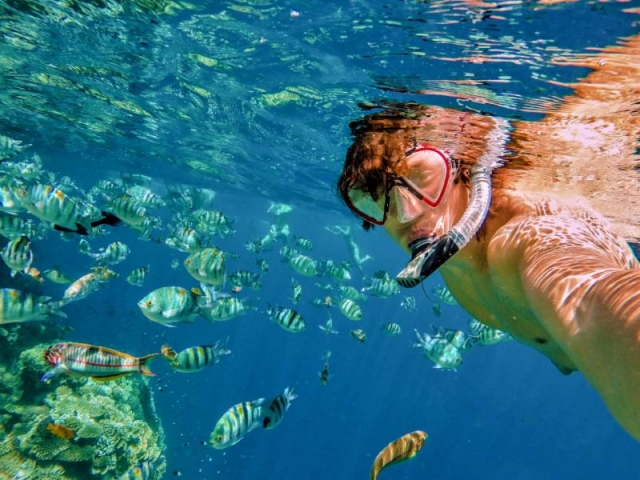  Nuoto con snorkeling e pesce 