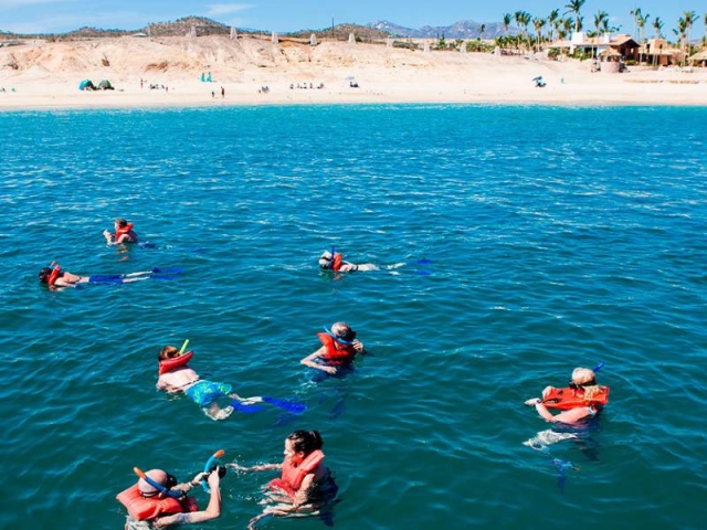  Snorker sulla spiaggia 