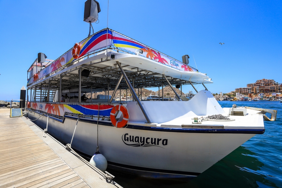 Catamarán für Touren am Nachmittag Catamarán für Touren am Nachmittag