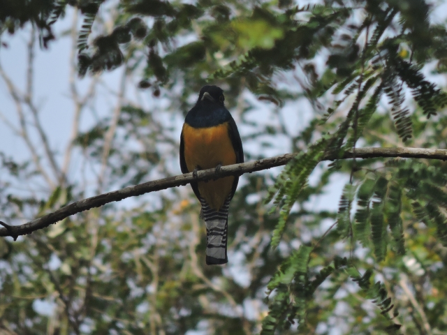 Bellezas por los aires de Yucatán 