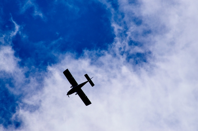 Volando bajo