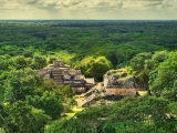 Tour a Río Lagartos y Ek Balam 1 día