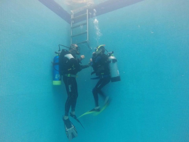  Starting the course 