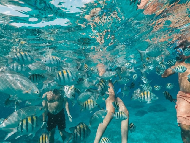  浮潜 