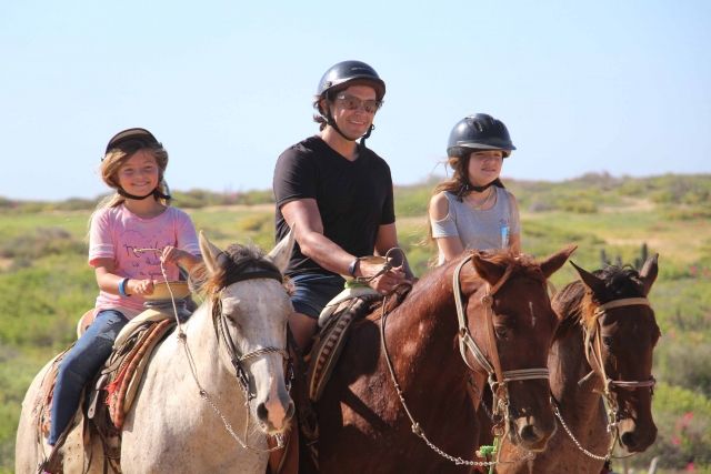  cavalos para todos