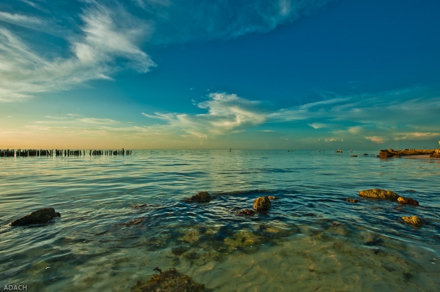  Aquatic landscape 