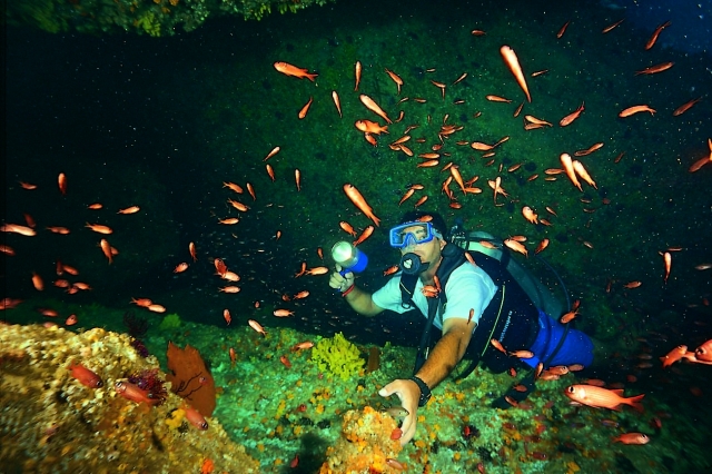  You will be able to contemplate beautiful underwater landscapes 