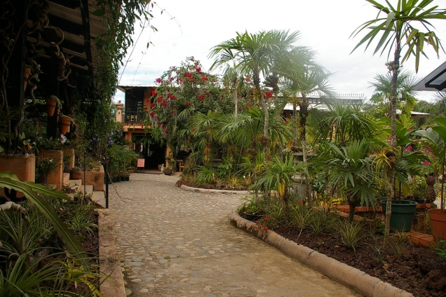 Bellos jardines 
