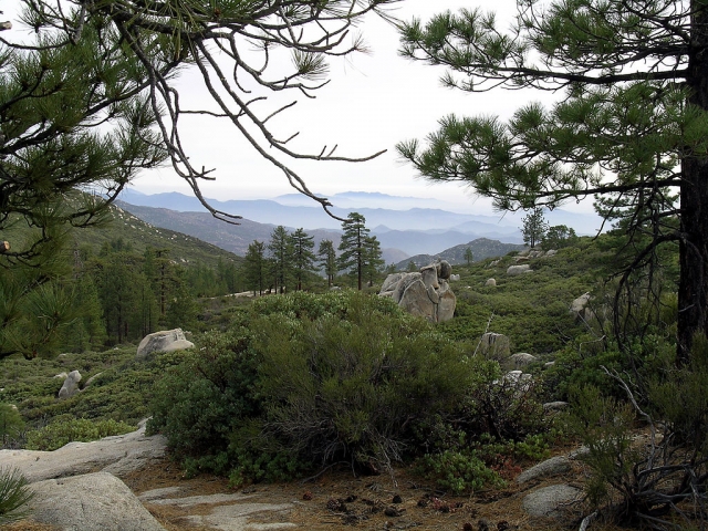  Montagnes de San Pedro Mártir 