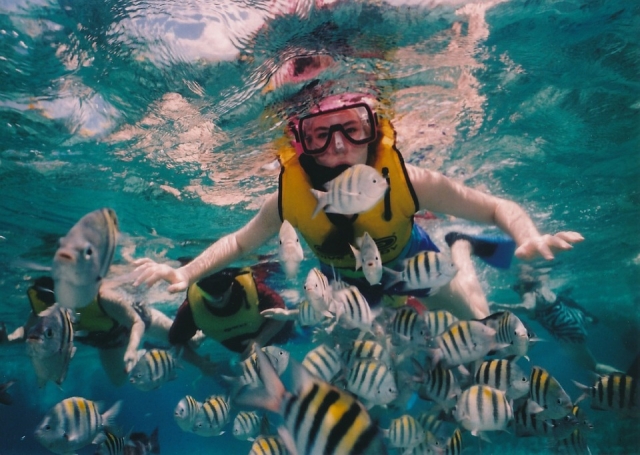  Snorkeling nella barriera corallina di Playa del Carmen 