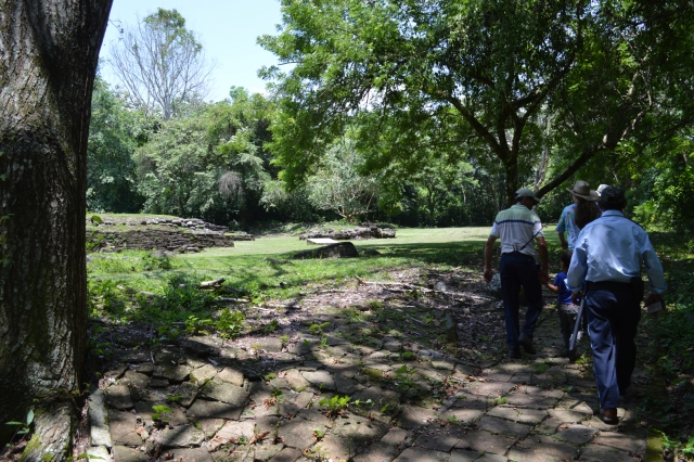  Tour by Archaeological Zone