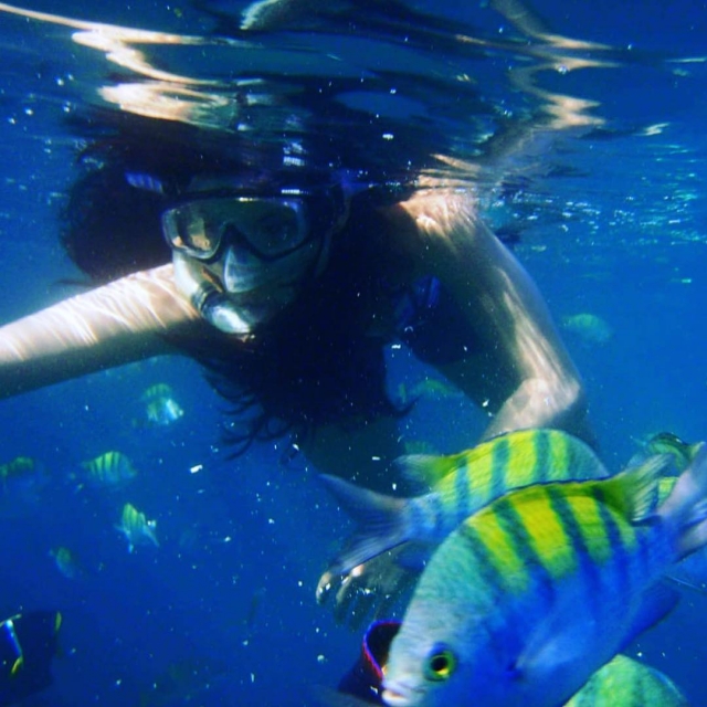  snorkeling e pesce