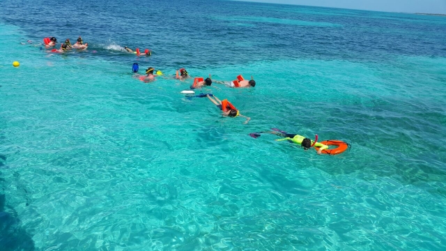  加勒比海游泳 