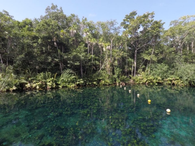  Beauty of Casa Cenote 