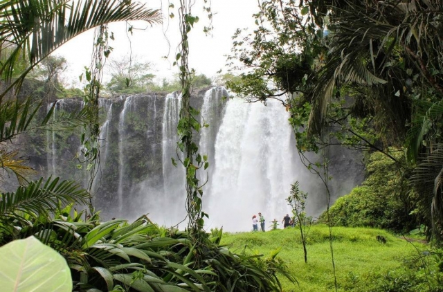  Cascade El Salto
