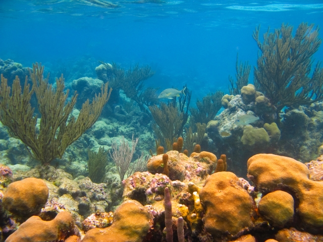  Discover these seascapes 