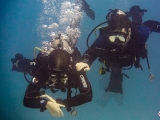 Certification PADI Open Water Playa del Carmen 3 jours