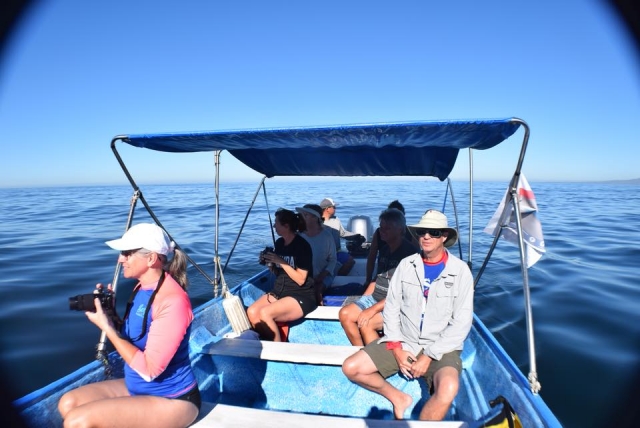 Paseo en panga