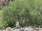 Randonnée dans le Canyon du Tabor à Loreto 6 heures